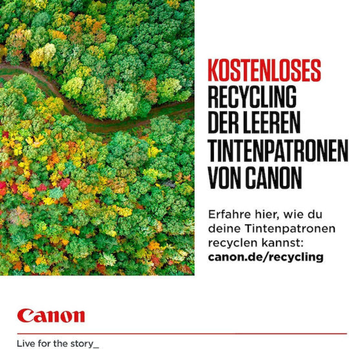 Canon PGI-580XL Γνήσιο Μελάνι Εκτυπωτή InkJet Μαύρο (2024C005)