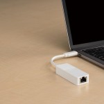 D-Link DUB-E130 USB-C Αντάπτορας Δικτύου για Ενσύρματη σύνδεση Gigabit Ethernet