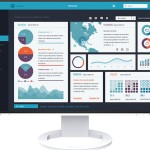 Eizo FlexScan EV2495 IPS Monitor 24.1