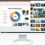 Eizo FlexScan EV2495 IPS Monitor 24.1