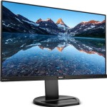 Philips 252B9 IPS Monitor 25