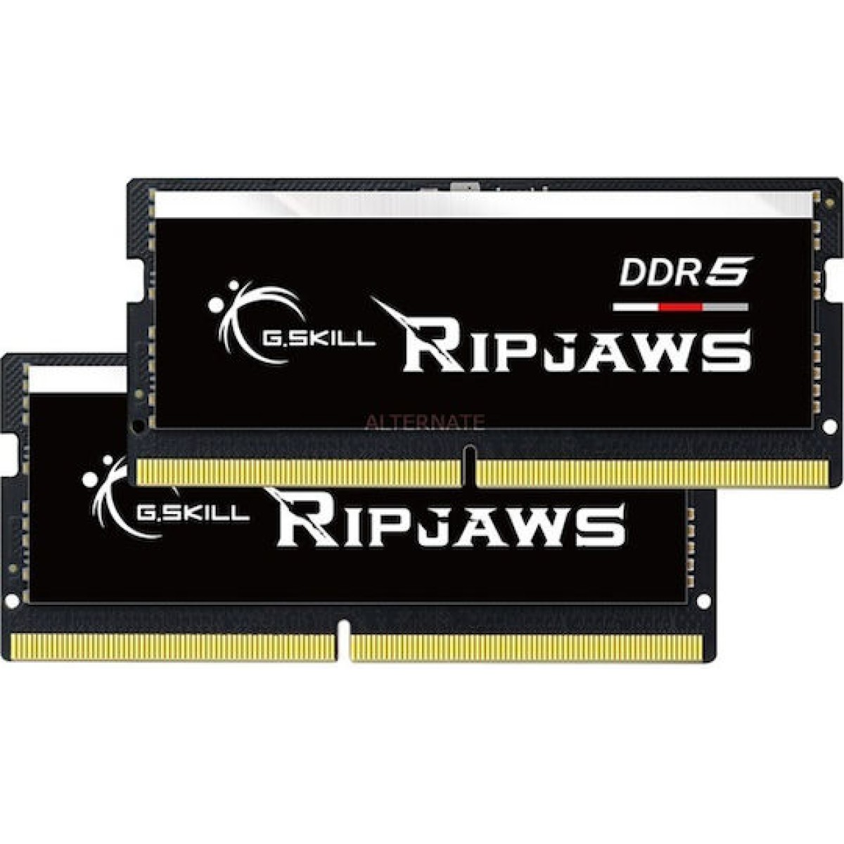 G.Skill Ripjaws DDR5 32GB RAM με 2x16GB Modules και Ταχύτητα 4800 για Laptop