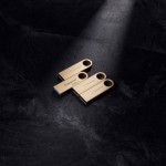 Kingston Datatraveler Se9 G3 64GB USB 3.2 Stick Χρυσό