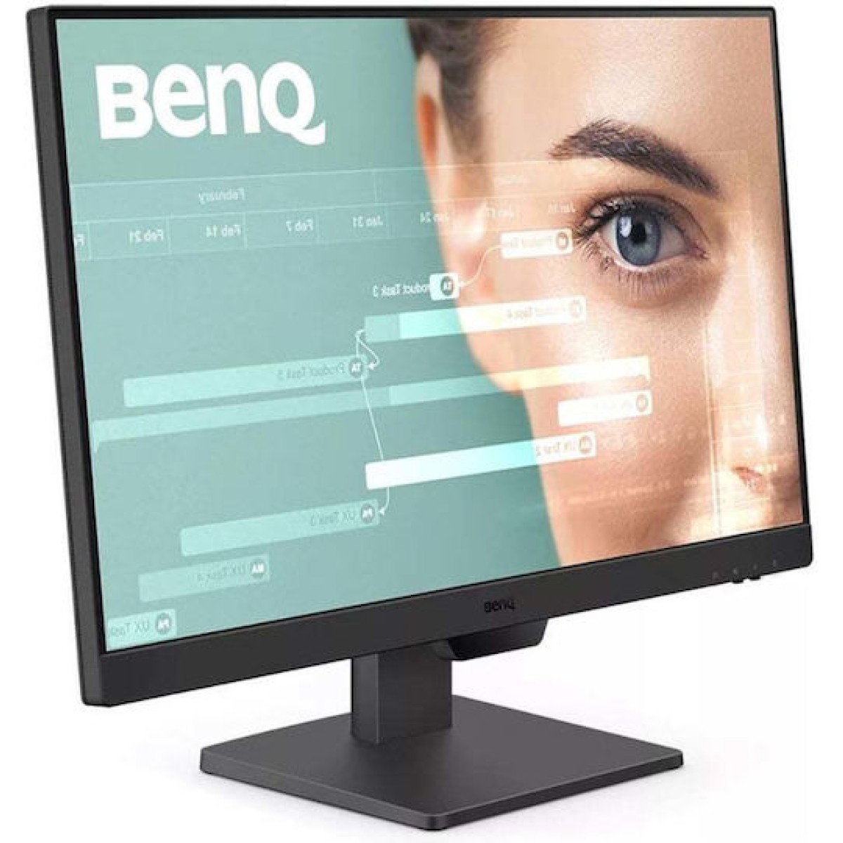 BenQ GW2490 IPS Monitor 23.8