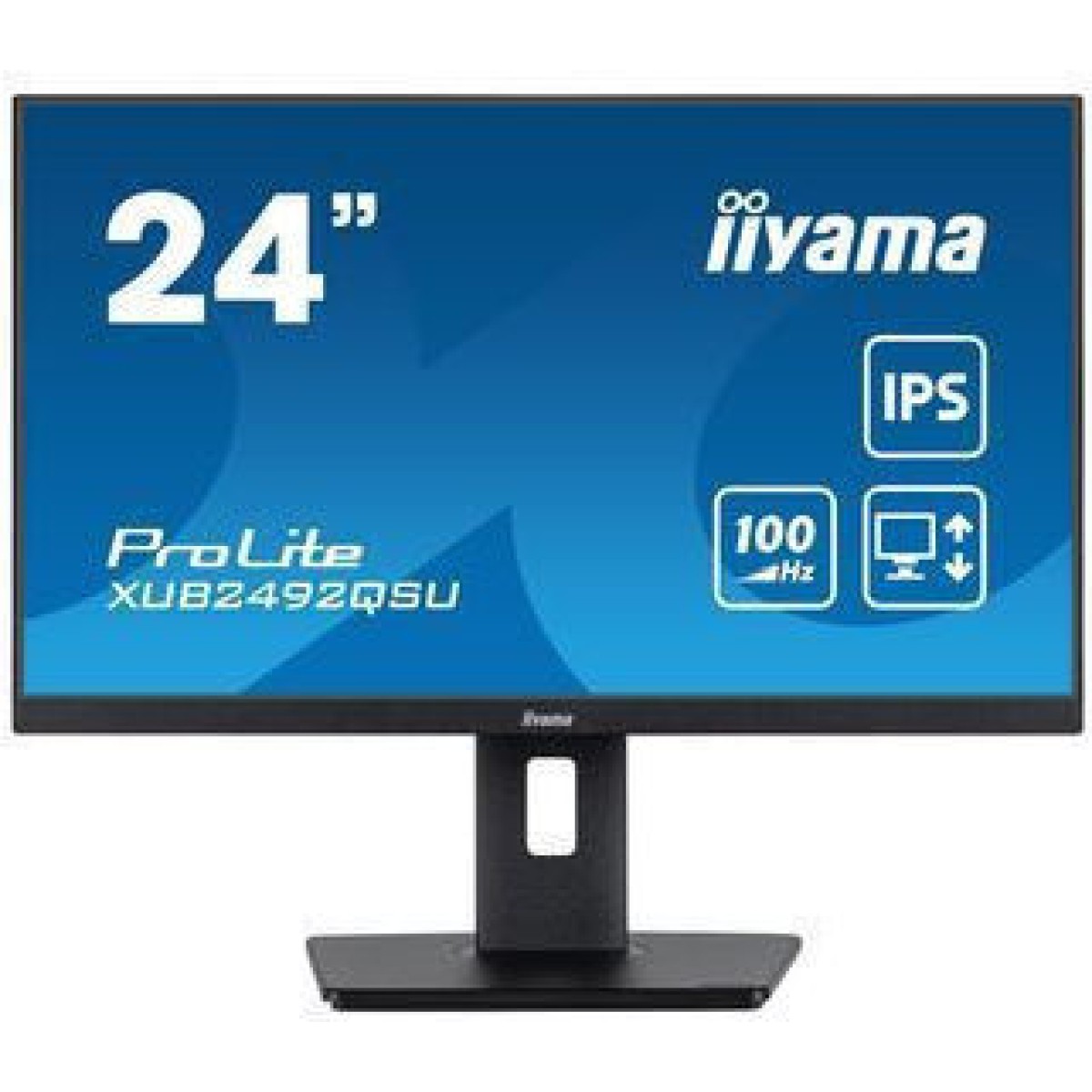 Iiyama Prolite XUB2492QSU-B1 IPS Monitor 24