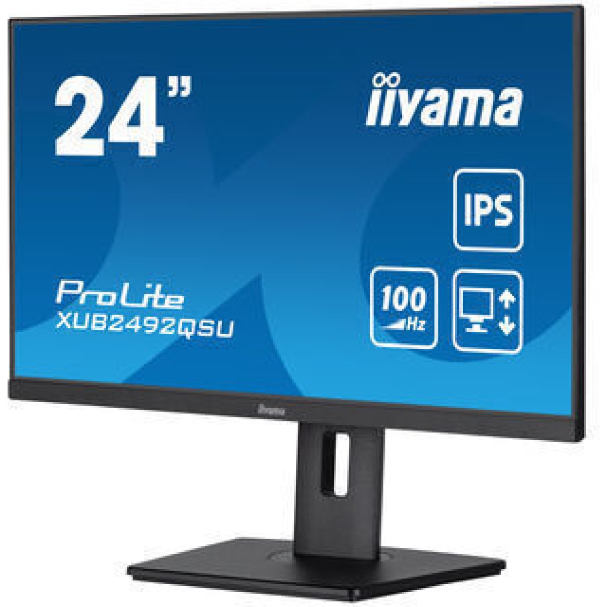 Iiyama Prolite XUB2492QSU-B1 IPS Monitor 24