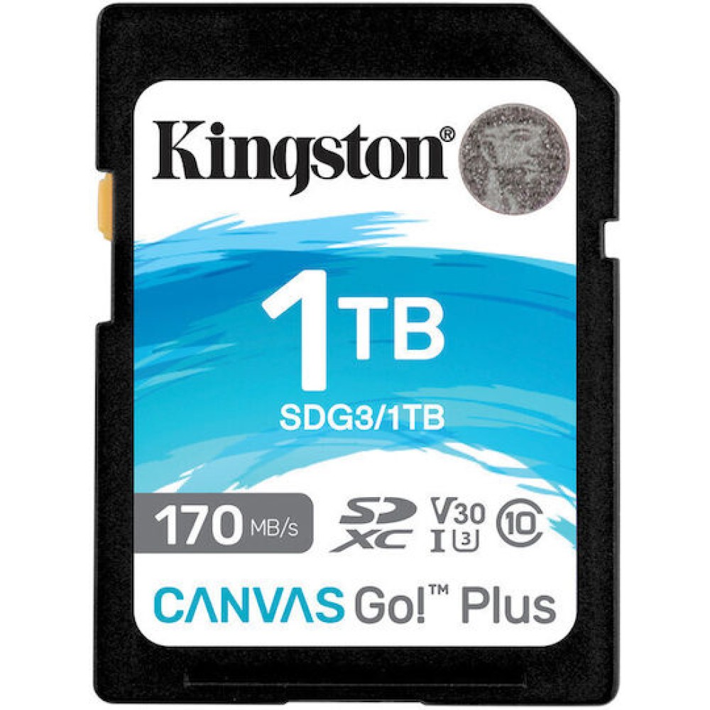 Kingston Canvas Go Plus Flash Card 1TB U3 UHS-I