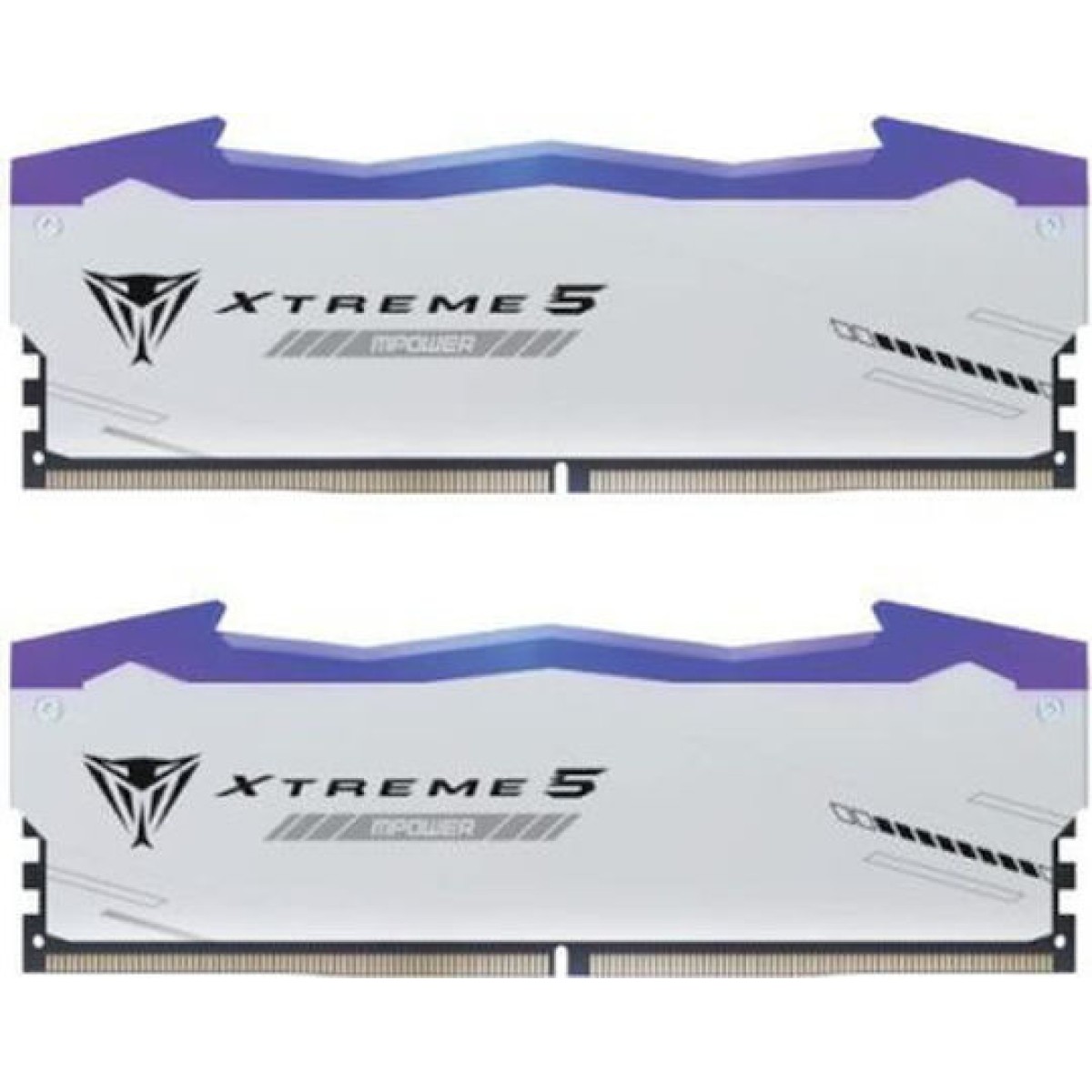 Patriot Viper RGB Extreme 5 DDR5 48GB RAM με 2x24GB Modules και Ταχύτητα 8000 για Desktop