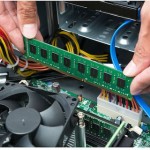 Kingston DDR5 με Module 1x8GB και Ταχύτητα 5600 για Server