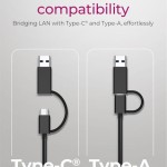 Icy Box IB-LAN301-C3 USB-C Αντάπτορας Δικτύου για Ενσύρματη σύνδεση Ethernet