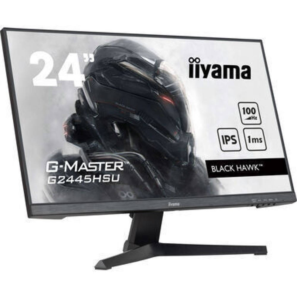 Iiyama G-MASTER IPS Monitor 24