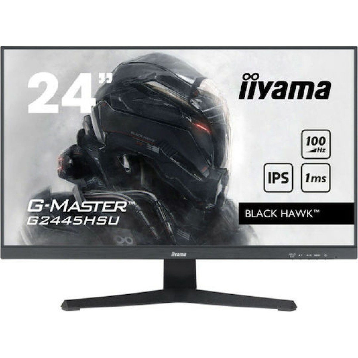 Iiyama G-MASTER IPS Monitor 24