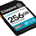Kingston Canvas Go! SDXC 256GB Class 10 U3 V30 UHS-I