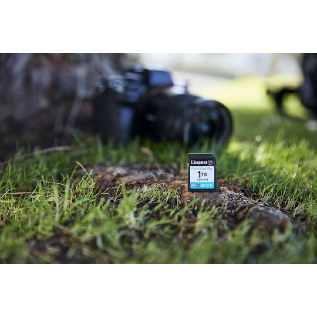 Kingston Canvas Go Plus microSDXC 1.0TB Class 10 U3 V30 UHS-I με αντάπτορα