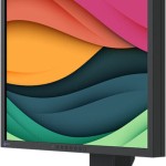Eizo FlexScan S2134 IPS Monitor 21.3